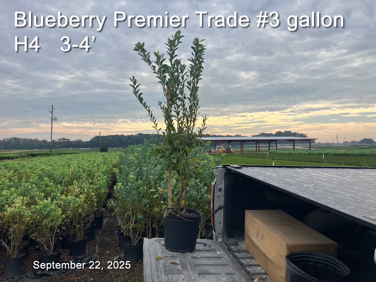 gallery/bpr3t h4 sept22.jpg